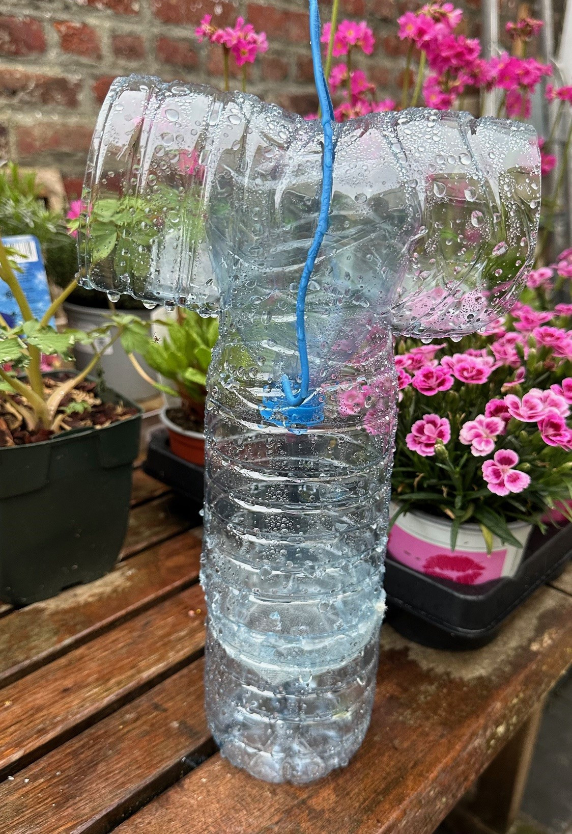Tutoriel:Un piège bouteille respectueux de la biodiversité