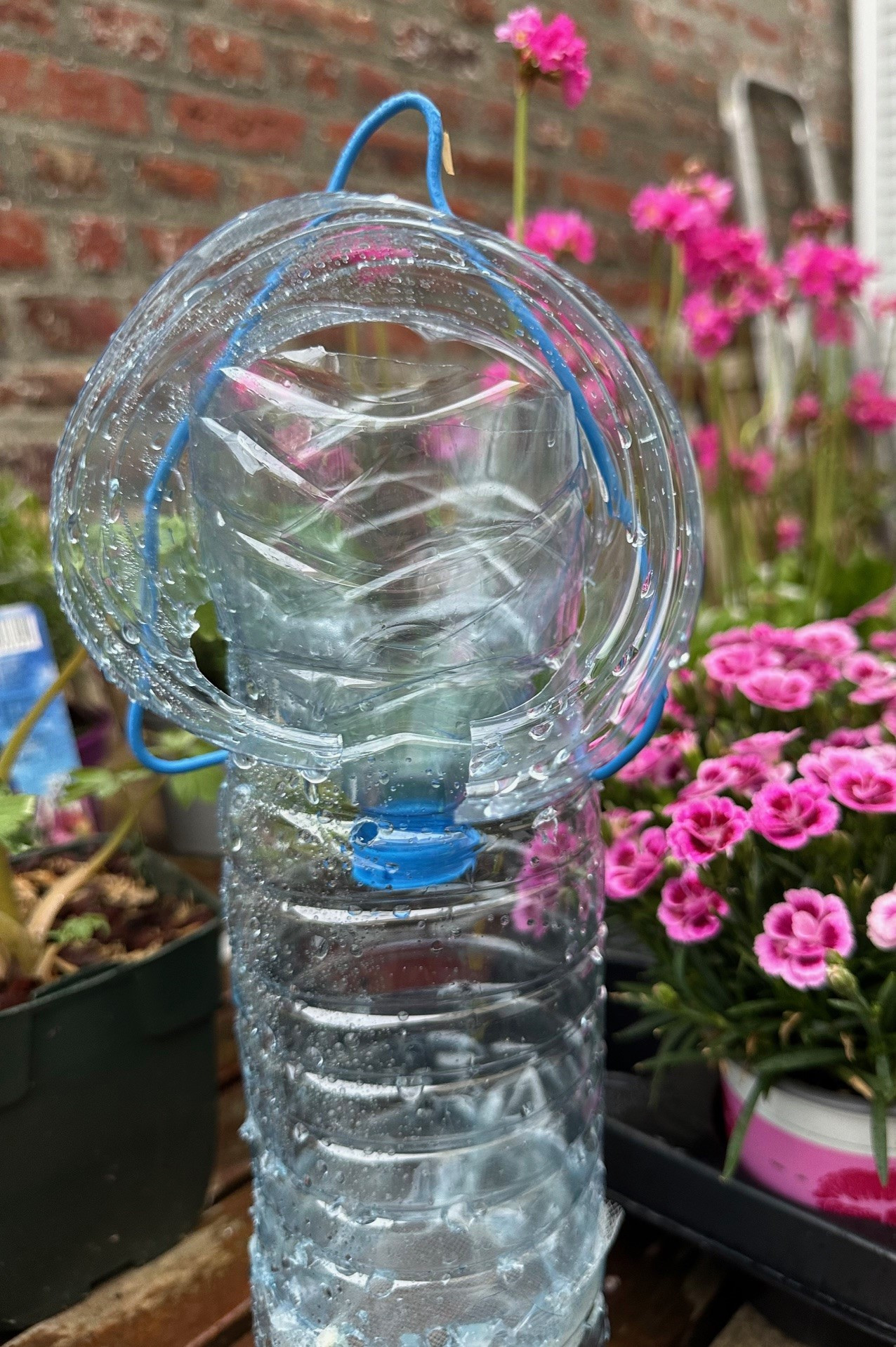 Tutoriel:Un piège bouteille respectueux de la biodiversité